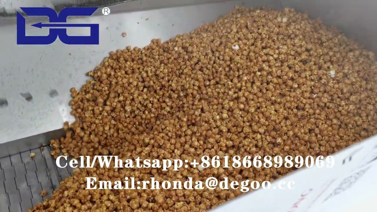 Popular snacks food sugar coating kettle machine caramel coating system sweet coater machinery