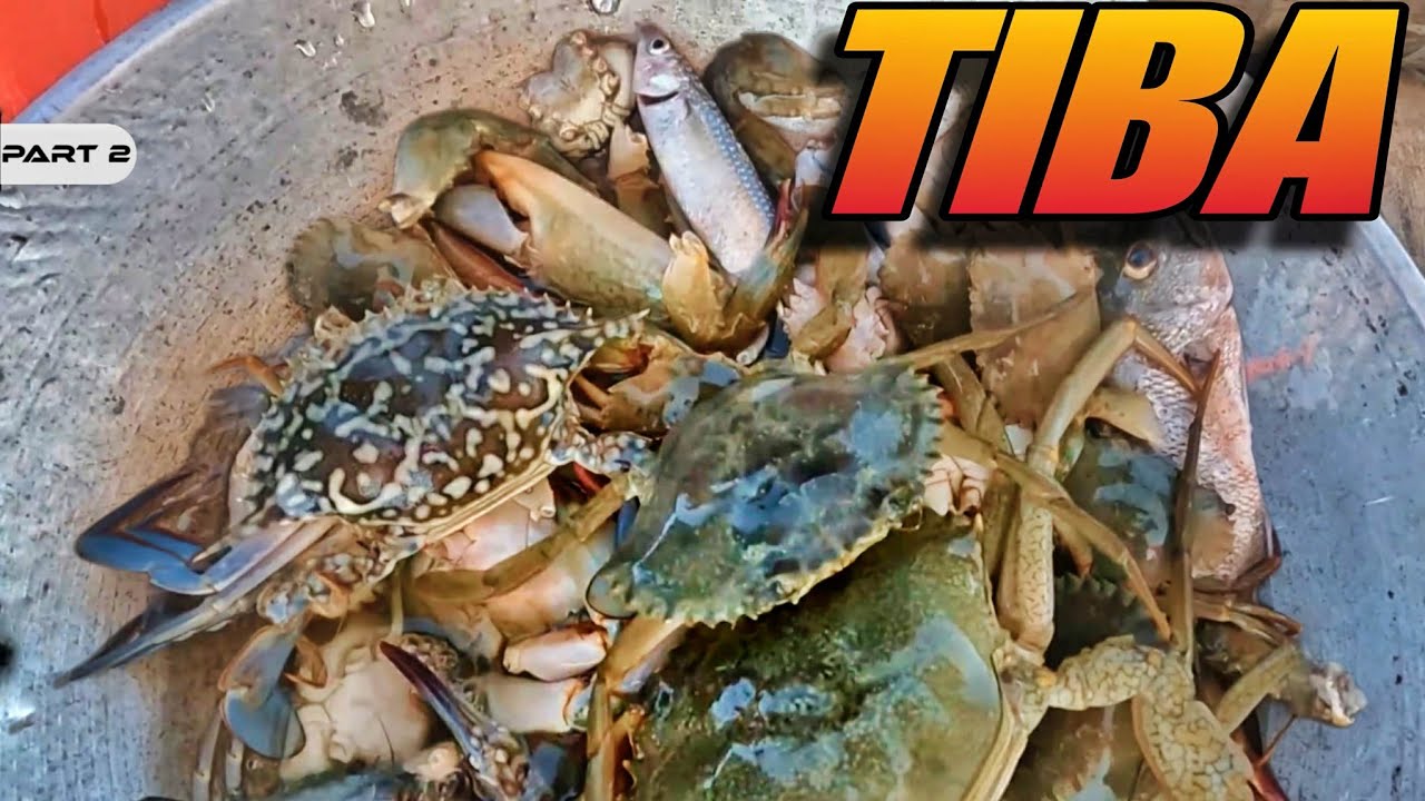 P2 - Tiba sa Lambat