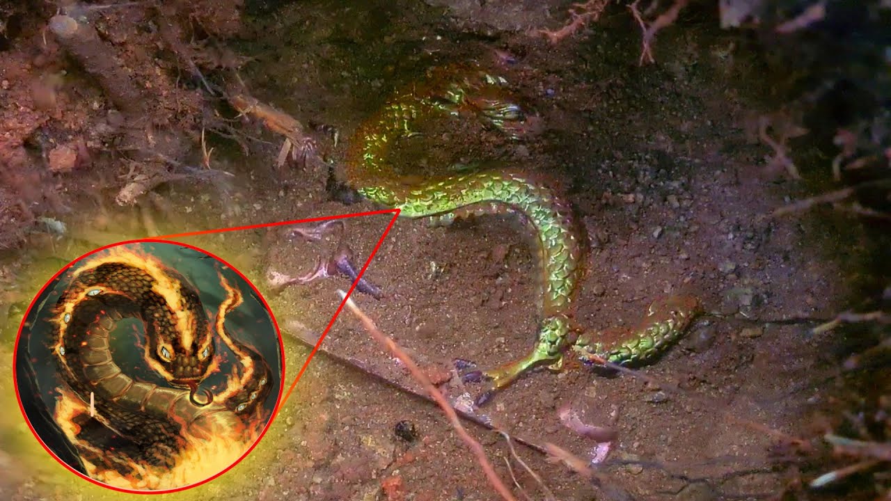 Encontrei o Esconderijo da COBRA de FOGO