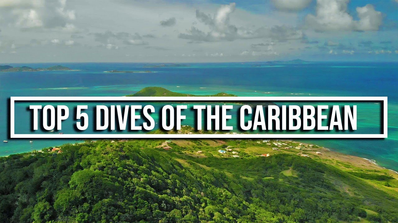 Top 5 Dives of the Caribbean - Sailing One Life