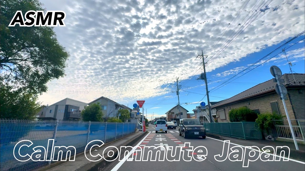 Calm Cloudy Morning Commute in Japan#4K