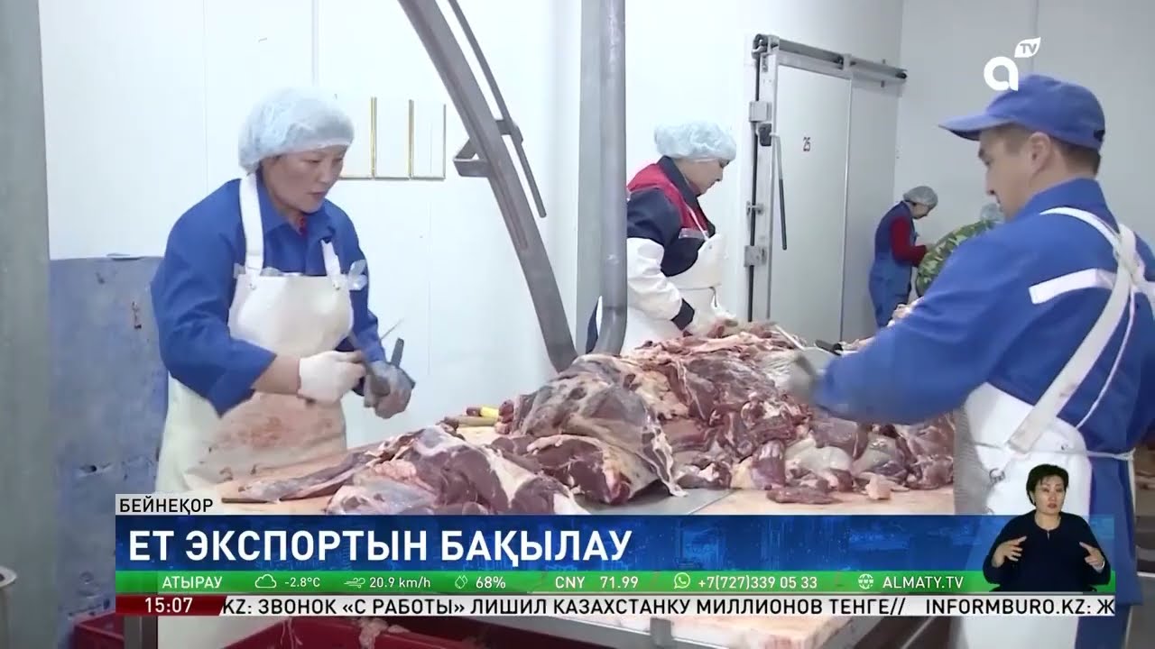 Сиыр еті картоп ретінде экспортталды деген ақпарат жалған - министр мәлімдемесі