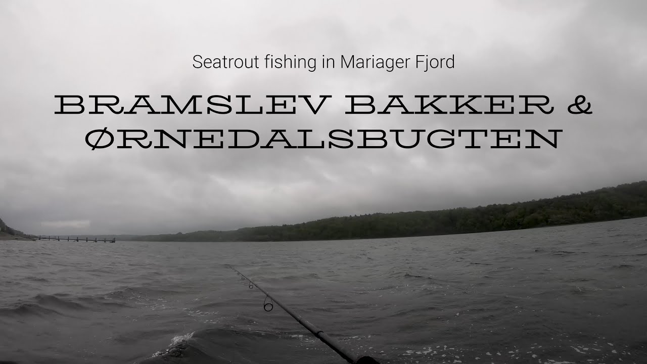 Seatrout fishing at Bramslev Bakker and Ørnedalsbugten in Mariager Fjord, May 15th 2021.