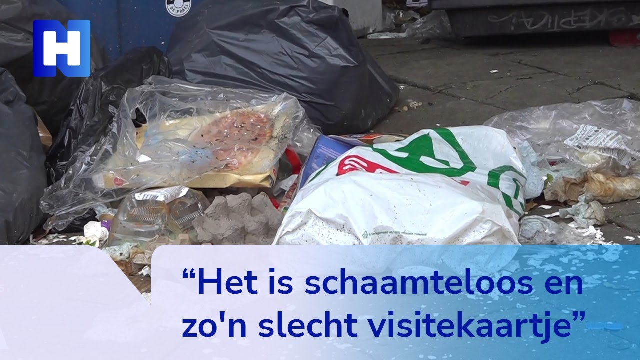 'Ratten zo groot als katten' in Amsterdamse Pijp door niet opgehaald vuilnis