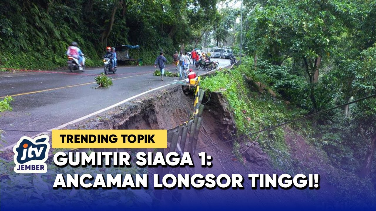 Tidak Aman! Jalur Gumitir Rawan Longsor Dan Pohon Tumbang