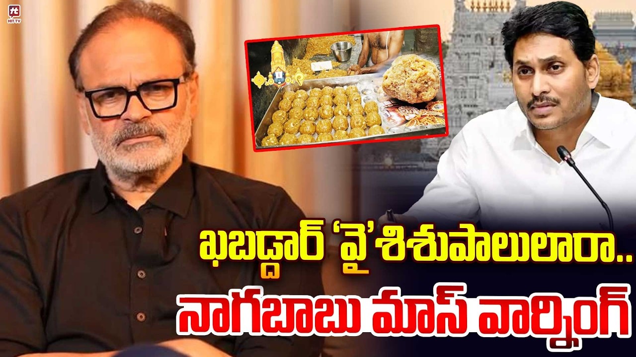 MLC Nagababu Aggressive Comments on YS Jagan Against Tirumala Laddu @Hit TV Clips