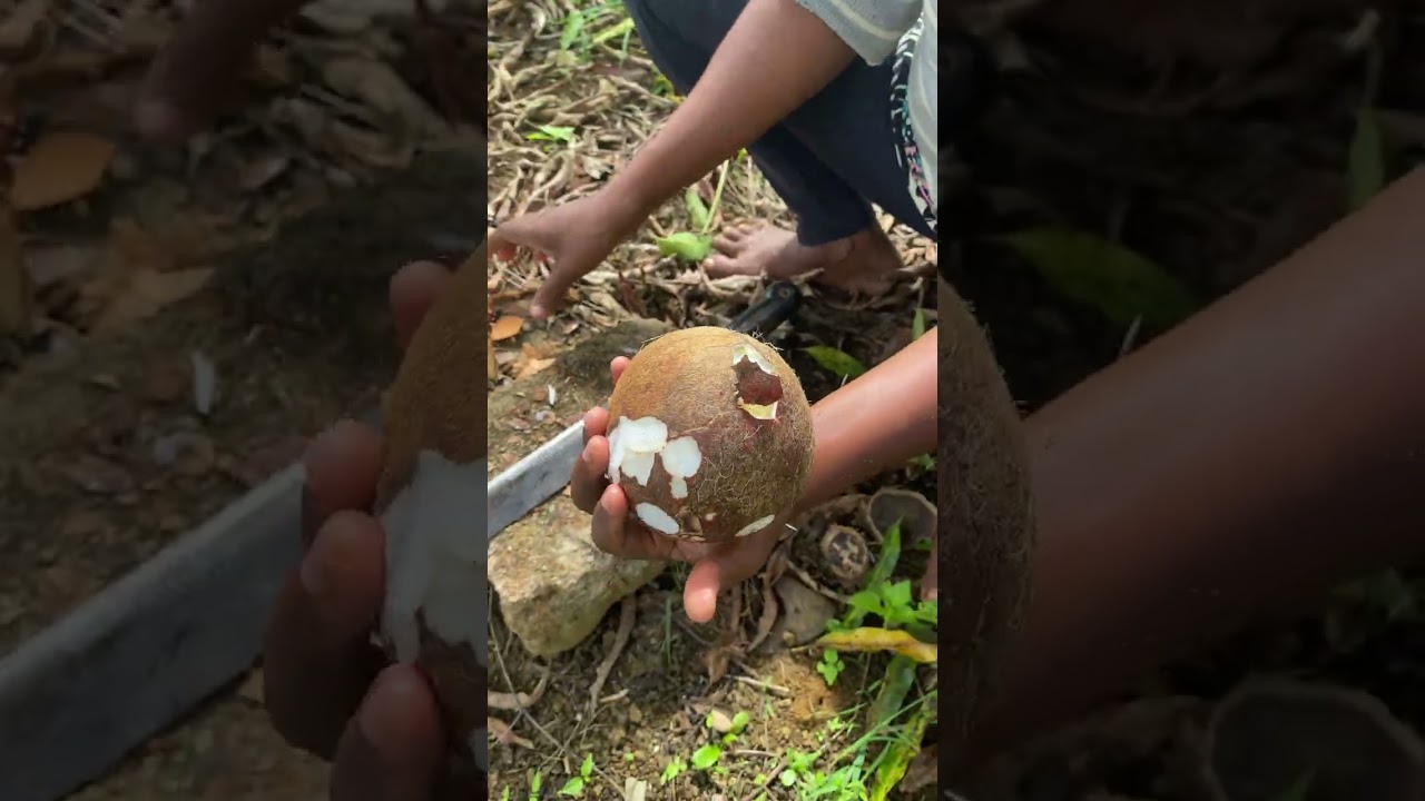 Hoje vou te mostrar a famosa maçã do coco!