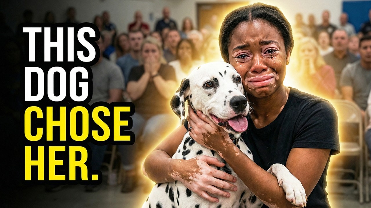 Shelter Dog Refused Every Family… Until She Chose HER ❤️🐶😭Adoption Tears