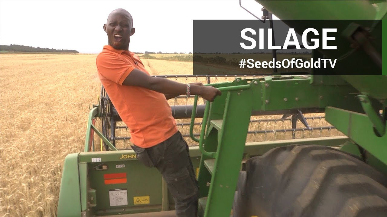 Silage - Seeds of Gold TV Season 2 Episode 5
