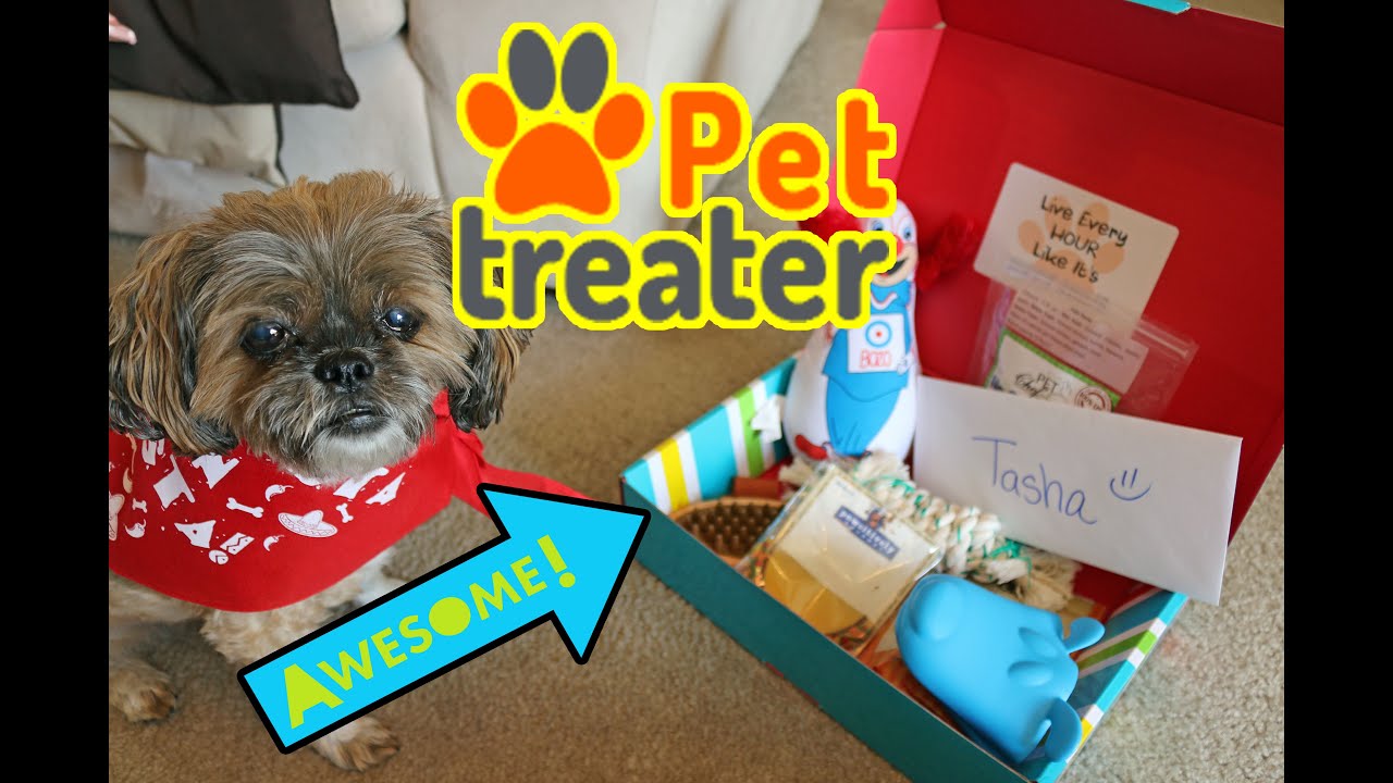 PET TREATER May 2016 Unboxing Subscription Box ○ Doggie De Mayo! ○