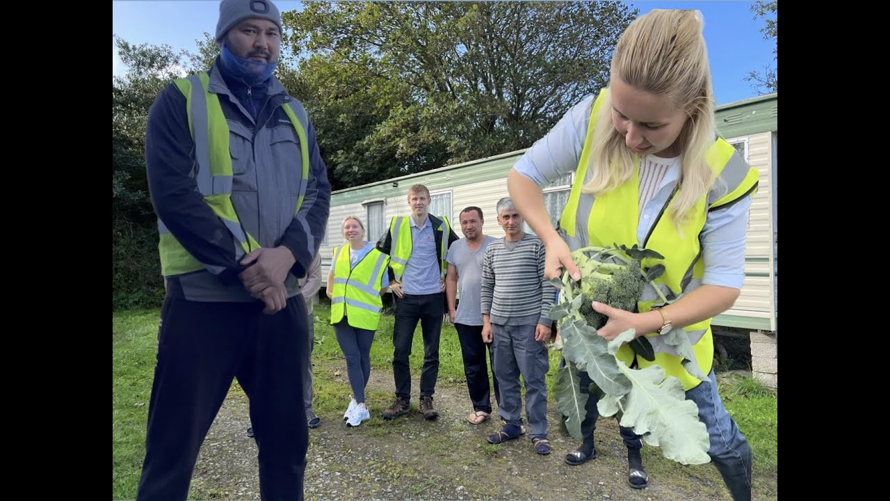 Ферма SEF (Southern England Farm) на юге Англии.