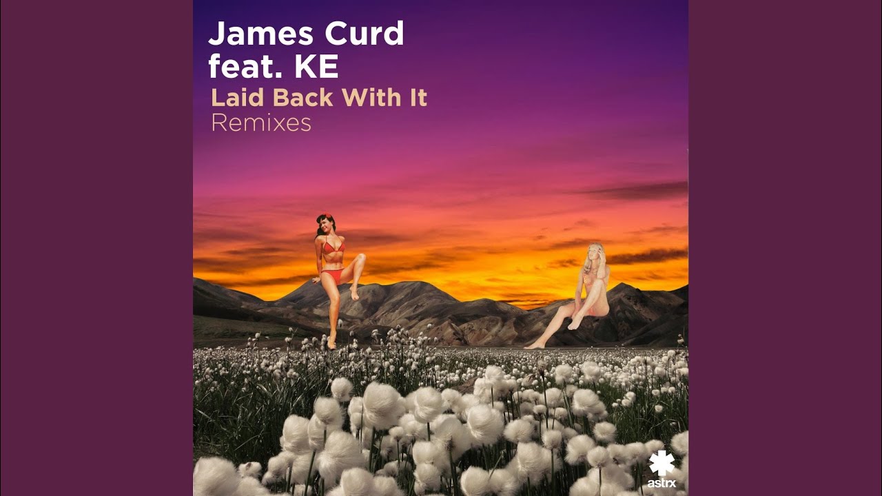 Laid Back With It (Ant Larock Remix)
