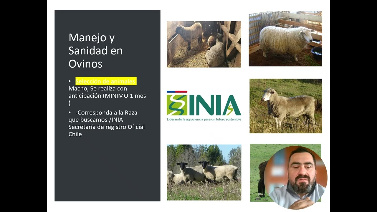 Manejo Practico en Ovinos_M5_U5_5A