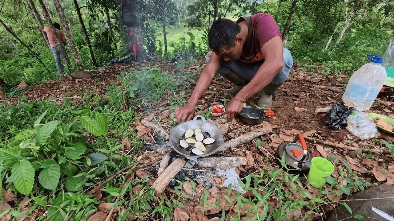Malam di hutan dan Monyet liar | Forest Survival Day 5 Membuat pondok dan berkebun di Hutan