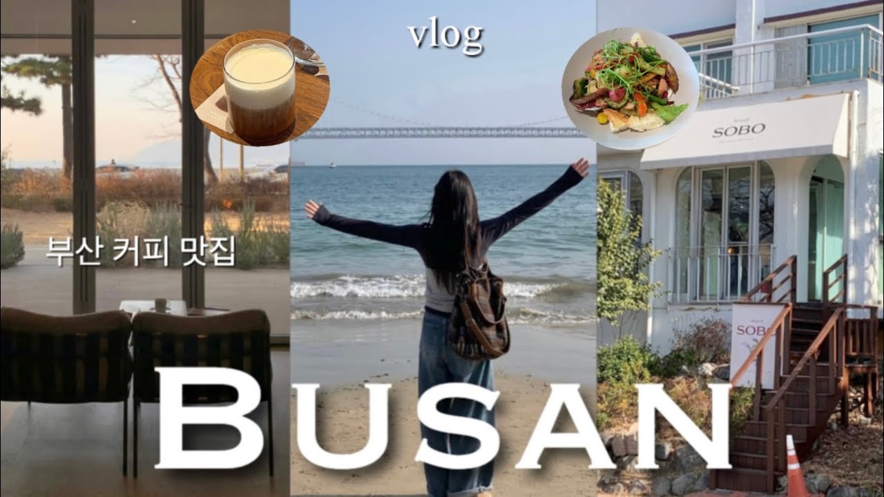 당일치기 부산여행 vlog | 모모스커피, 소보 브런치카페, 달맞이길 구경, 동백섬, 바오하우스 먹고 먹고 먹고 🩵