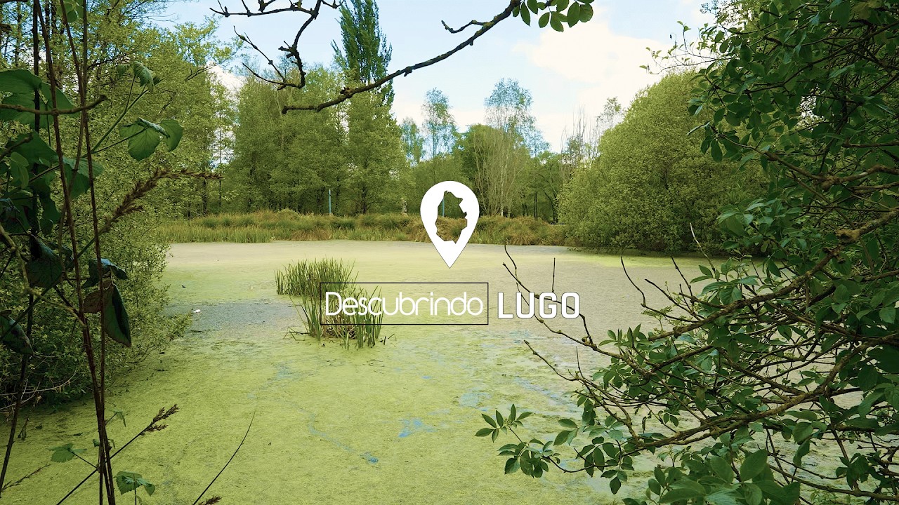 Descubrindo Lugo: Lagoa de Fonmiñá, A Pastoriza