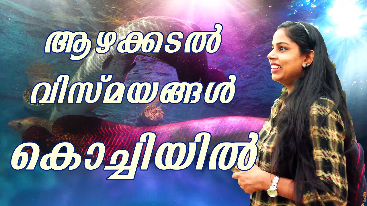 An evening outing || Cochin || Darbar Hall Ground