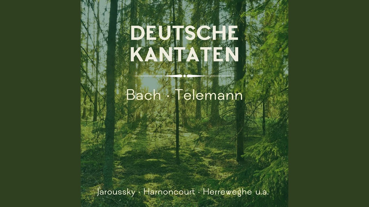 Ich habe genug, BWV 82: III. Aria. Schlummert ein, ihr matten Augen