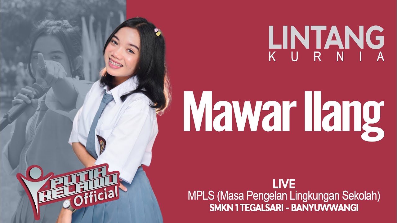 Lintang Kurnia - Mawar Ilang (Official Live Music)