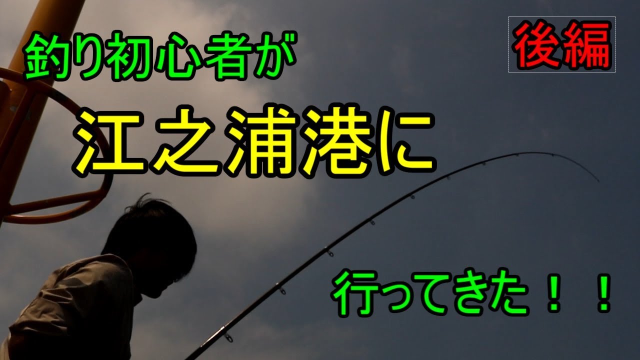 【ショアジギング】釣り初心者が江之浦漁港に行ってきた！！【後編】