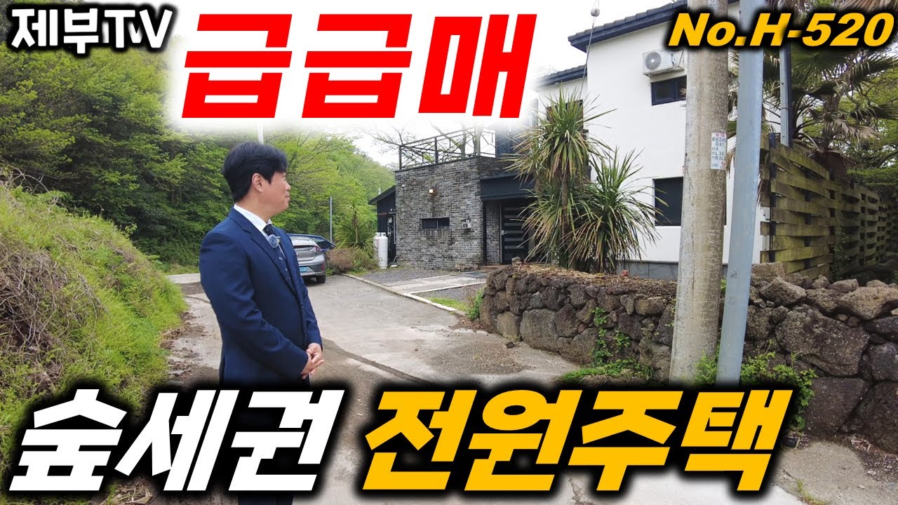 (급급매) 제주도 오름 아래 조용한 숲세권에 조용한 단독주택 입니다