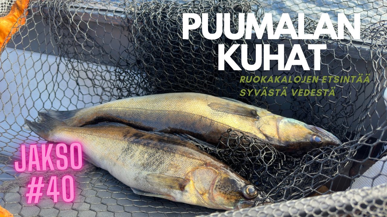 Jakso #40 PUUMALAN KUHAT-Kalojen etsintää syvässä vedessä
