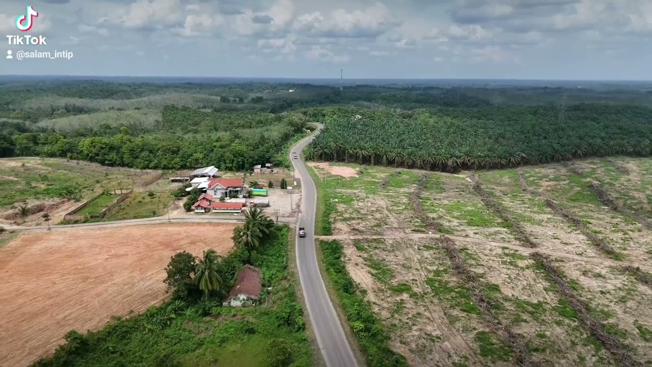 #djimini4pro #views #pabrikkelapasawit #Desapenanggiran.