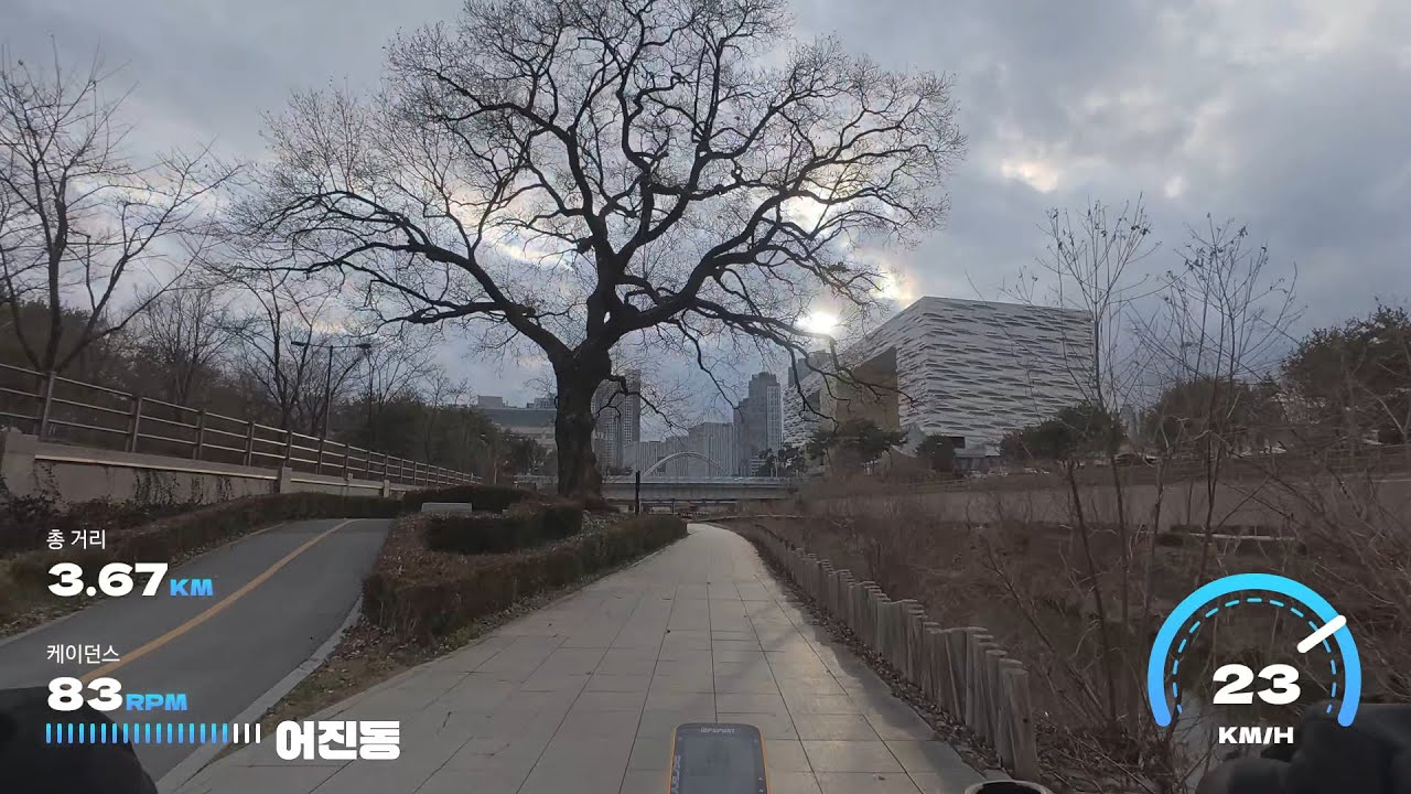 자출 #61 세종 | 평범한 일상