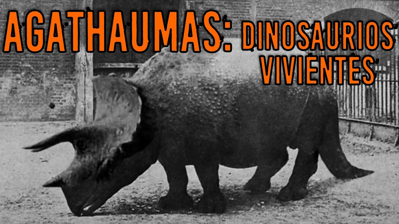 AGATHAUMAS: Los Dinosaurios Vivos del Zool&oacute;gico de Londres | Criptozoologia
