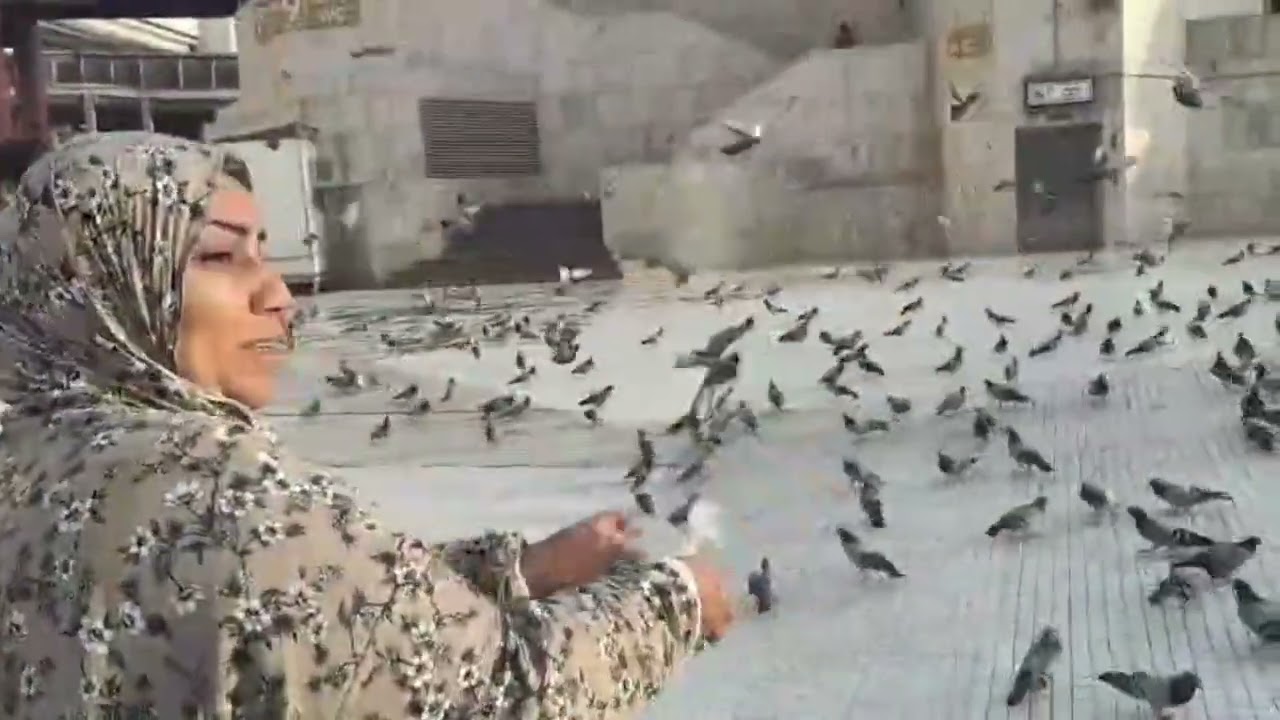 تعالوا شوفوا قضه يوم كامل في مكه والاماكن جميله وعملت عمره ربنا يستجاب
