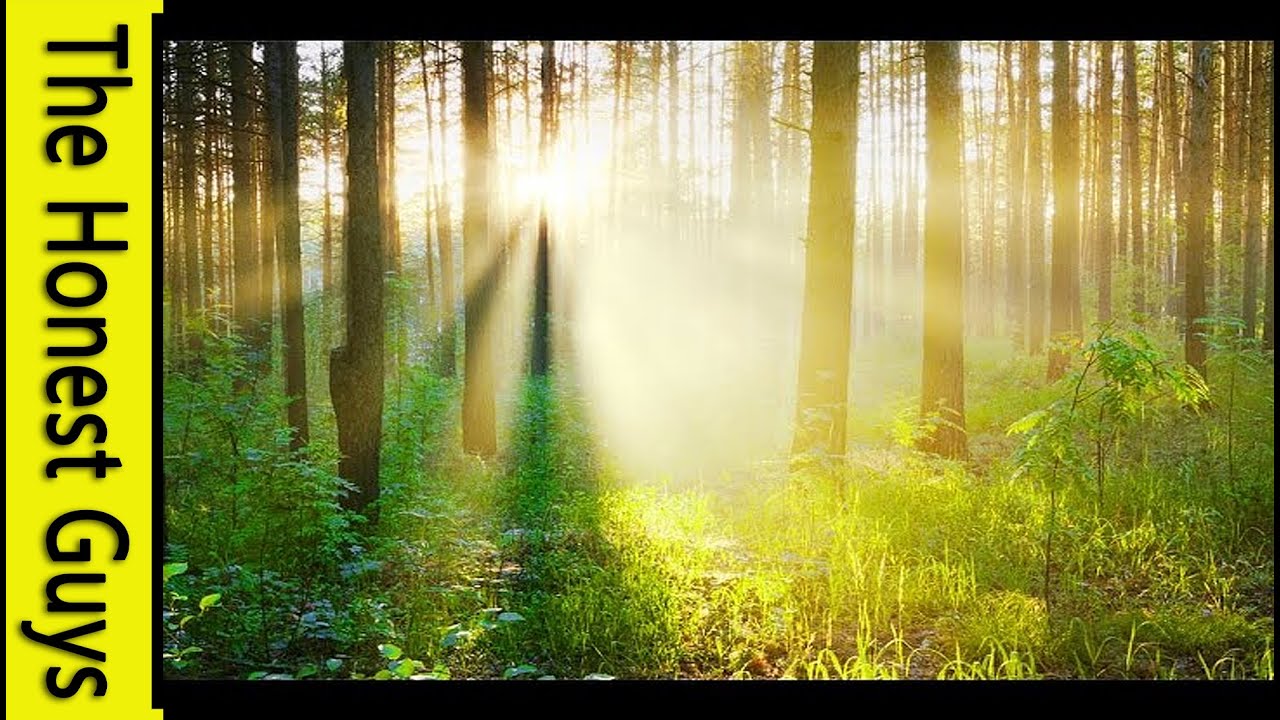 GUIDED MEDITATION: A Fairy Healing - A Blissful & Magical Experience