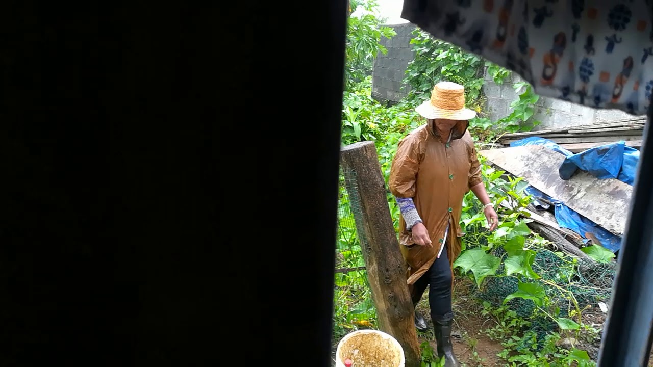 Real thief caught on camera (Real 2019)