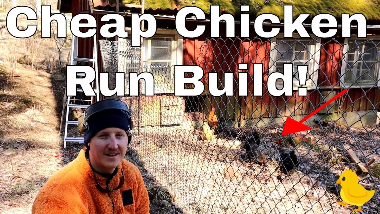 Chicken run build - Cheap easy chicken run build - Repurpose / Recycled Material | ♻🐔🔨