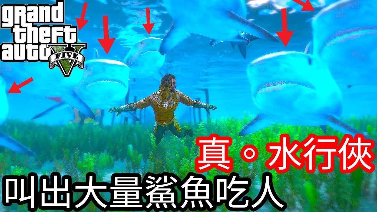 【Kim阿金】真。水行俠 叫出大量的大白鯊在淺灘游《GTA 5 Mods 》