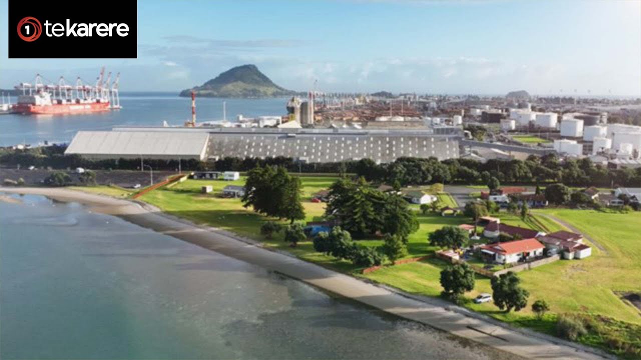 High Court overturns fast-track approval for Tauranga Port expansion
