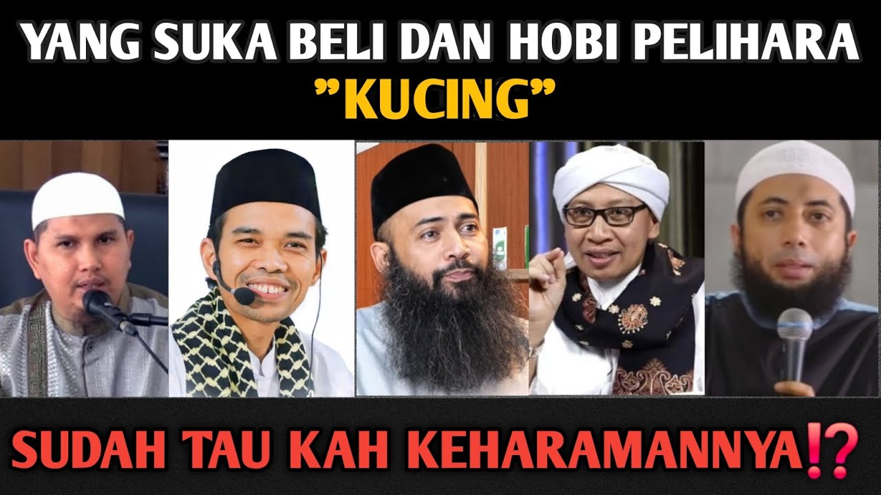 HUKUM JUAL BELI KUCING, HARAMKAH⁉️#jualbeli #kucing #buyayahya #khalidbasalamah 