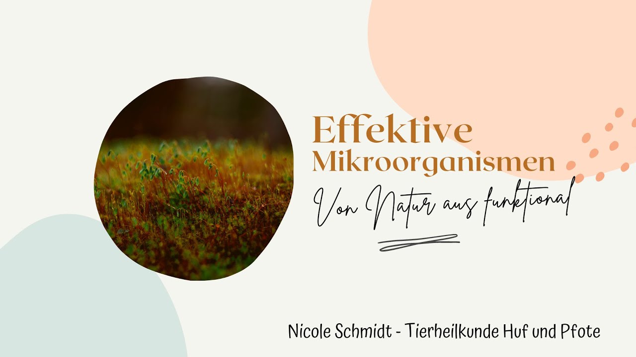 Effektive Mikroorganismen und ihre vielfältigen Einsatzmöglichkeiten