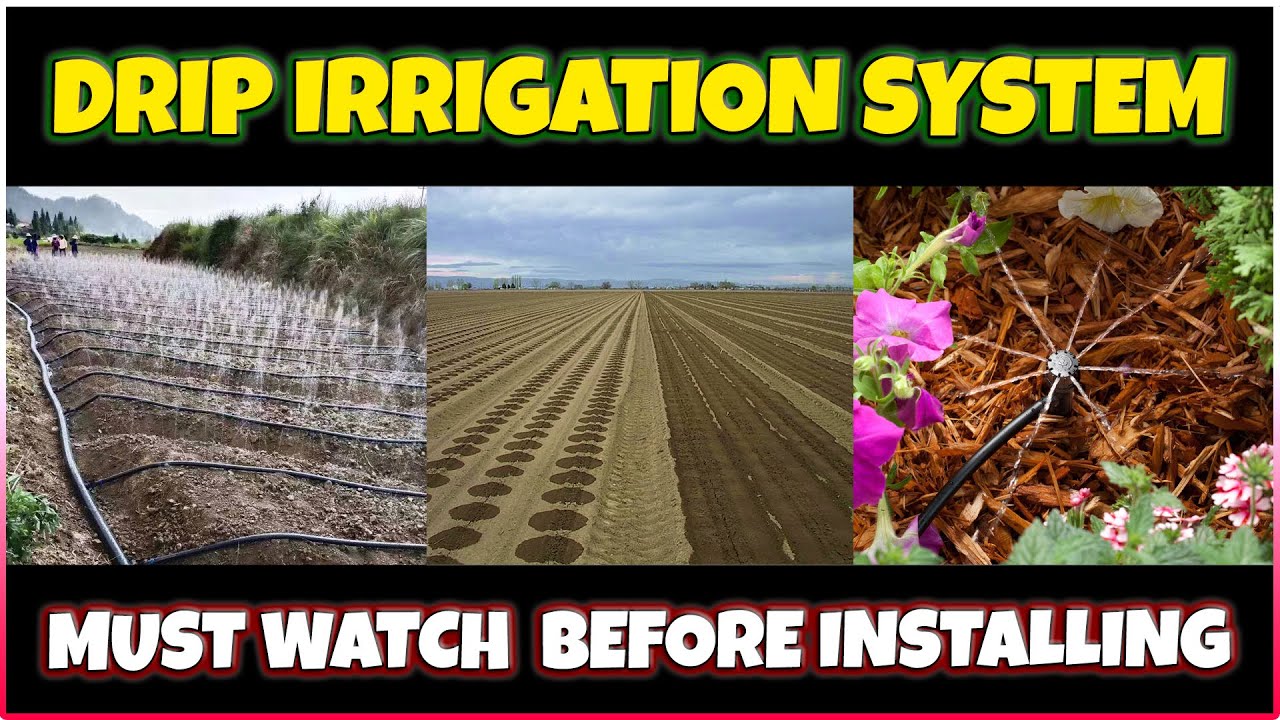 Discover the Best Drip Irrigation Systems Before You Install | All Types of Drip Irrigation Systems