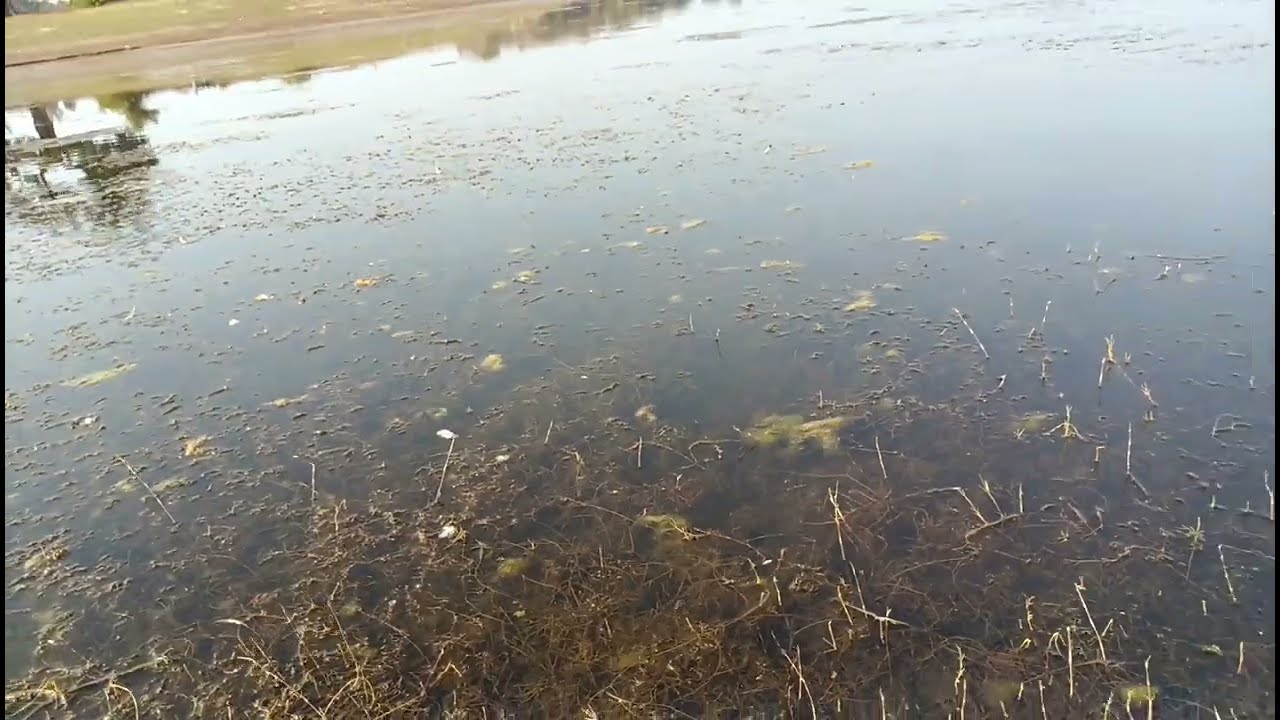 Gaon ka Mausam aaj aisa kaisa Ho Gaya?😱