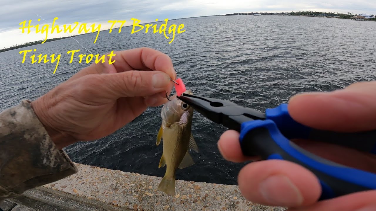 Panama City Lynn Haven Highway 77 Bridge