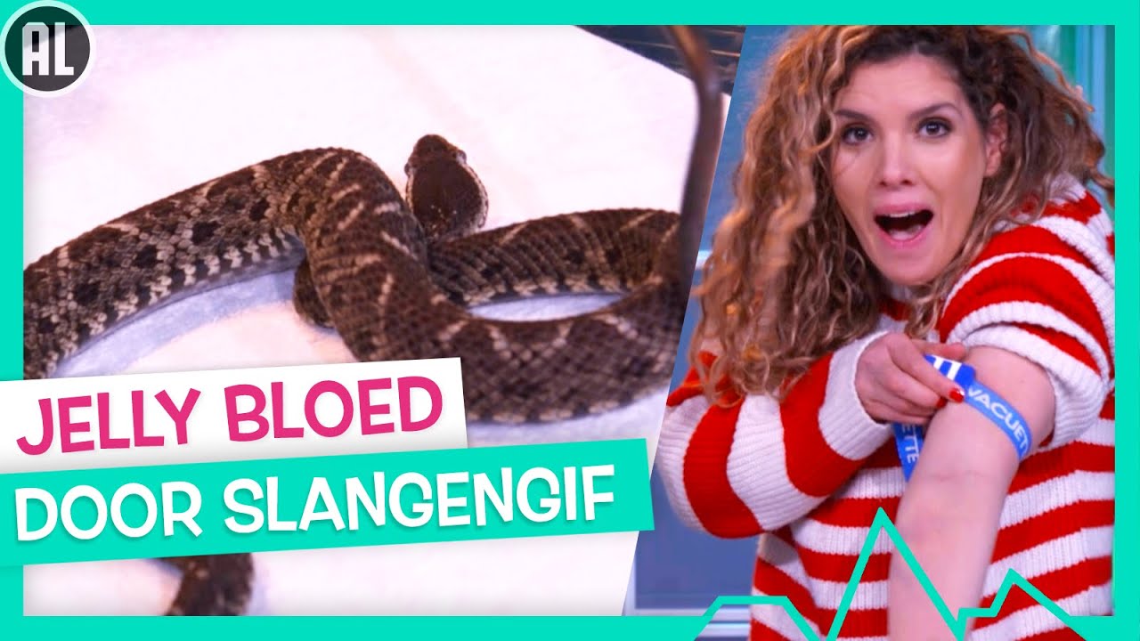 BLOEDLINK🐍🩸 | TOPDOKS LAB EXPERIMENT