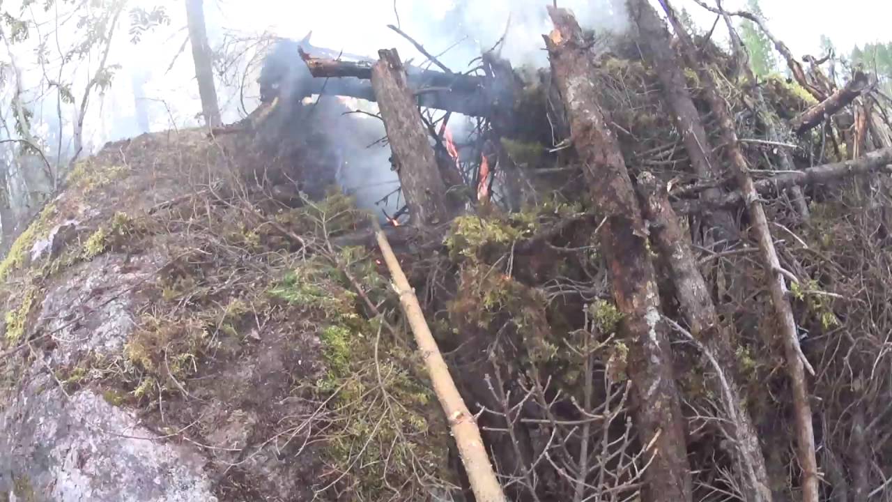 De provade att leva i skogen - drabbades av matförgiftning
