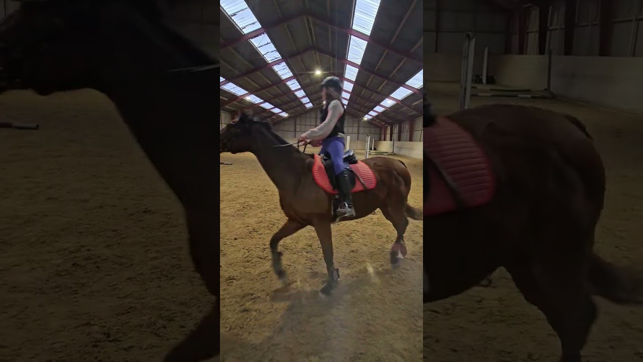 Fernanda Wejlemand og Sopran Ombra Trec online Februar T0 