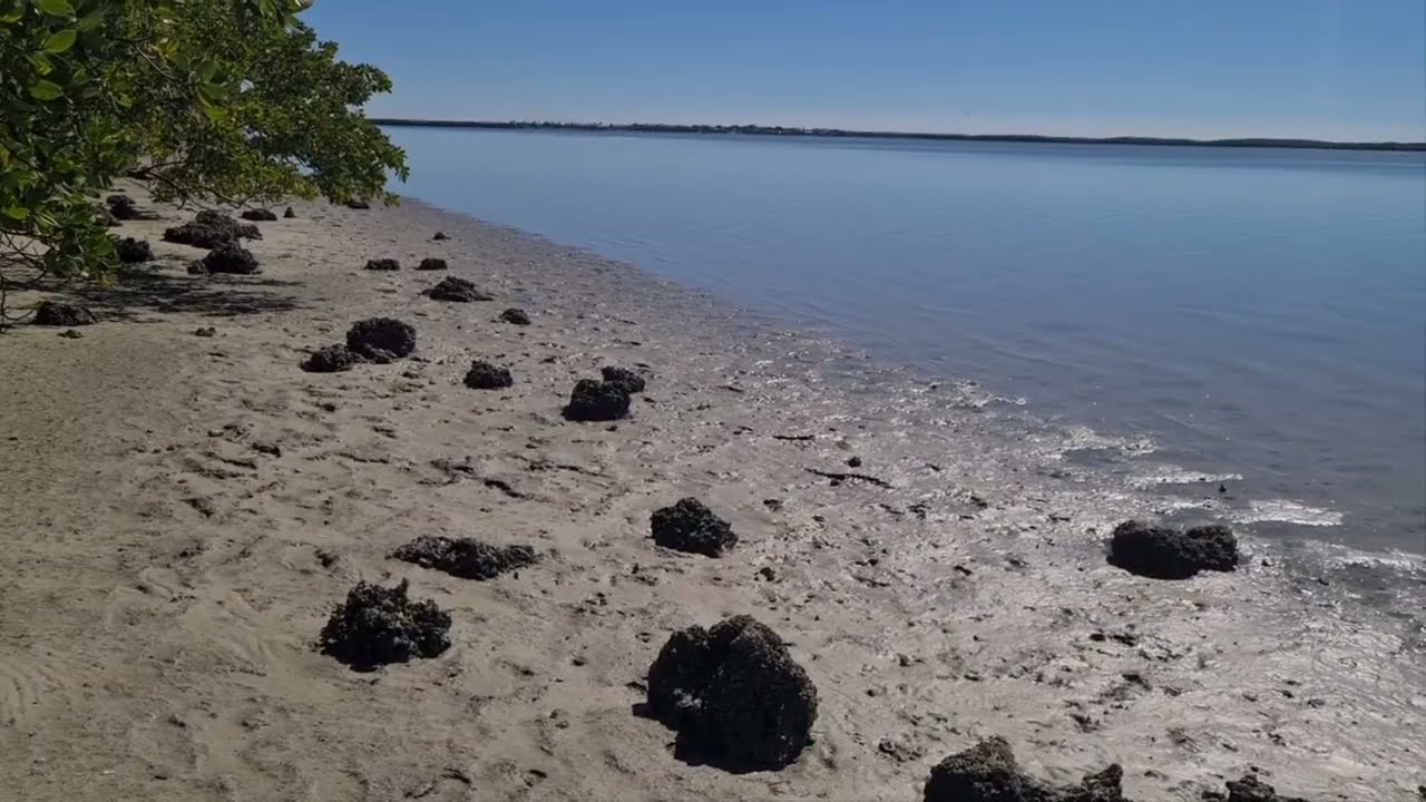Chokoloskee Bay from Ernest Hamilton Observation Tower| Everglades City, FL