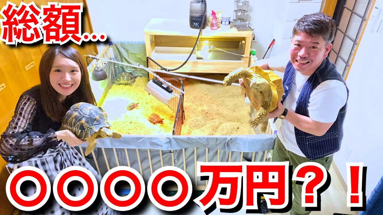 超珍しいリクガメ達を飼う金持ちYouTuberの家を訪ねてみた…！！