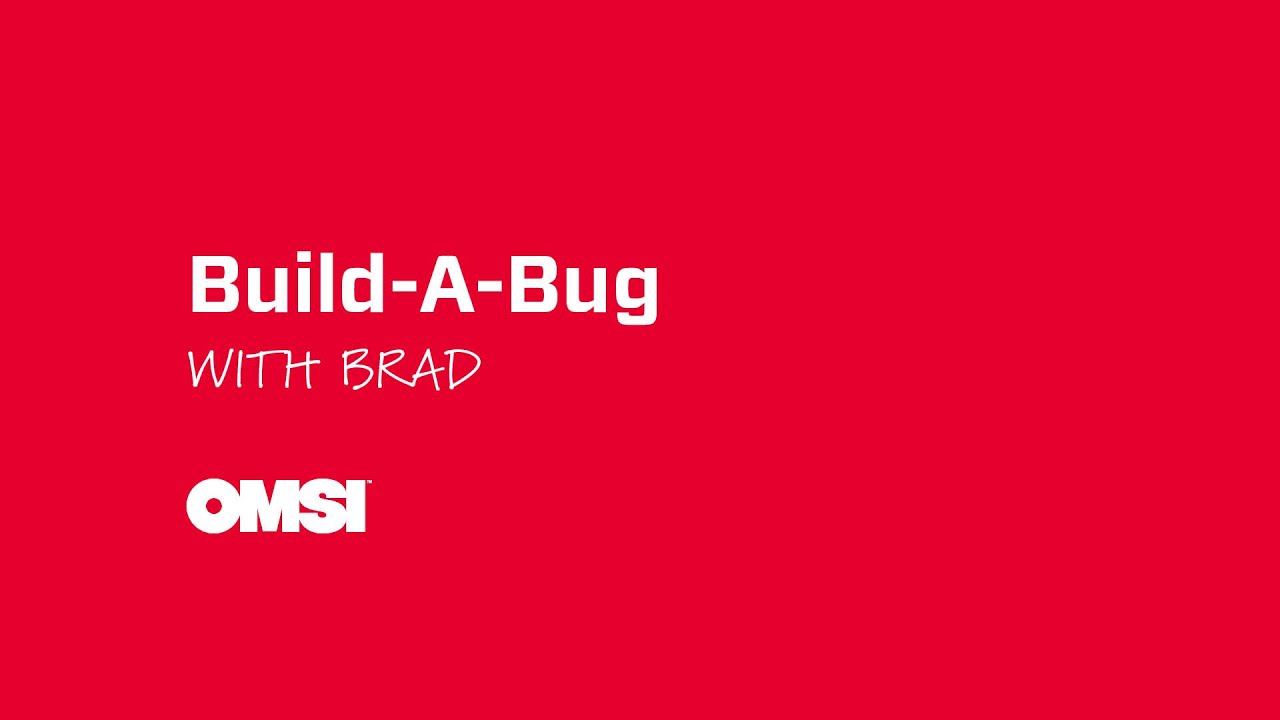 Build-A-Bug