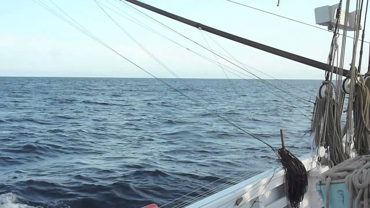 Le Thonier Biche de Groix à la recherche du thon germon juillet 2013