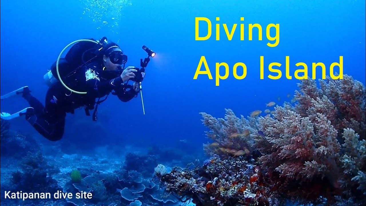 Scuba Diving Apo Island