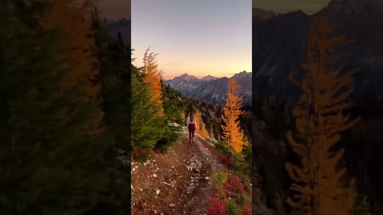 Fall in Washington State is unmatched 🍂🍁💫 Who’s ready? 😍 . . . . 