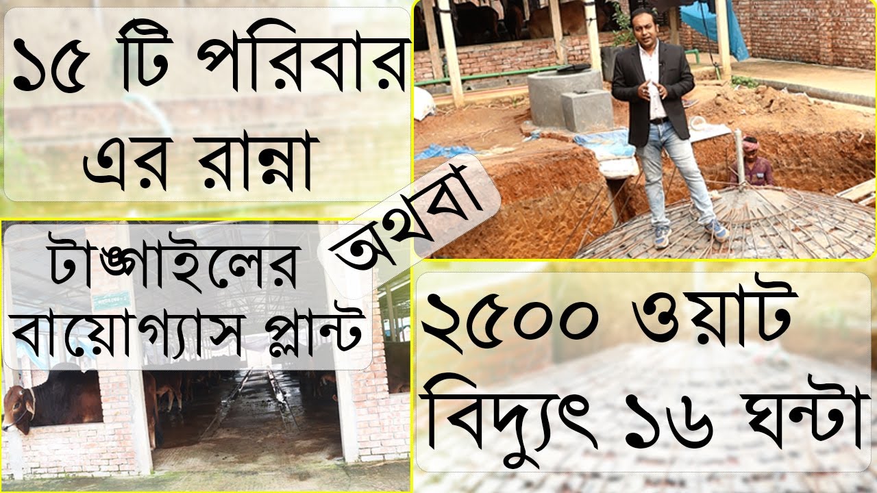 যে বায়োগ্যাস প্লান্ট দিয়ে চলবে ১৫ পরিবারের রান্না অথবা ২৫০০ ওয়াট বিদ্যুৎ ১৬ ঘন্টা #LtvHD #টাঙ্গাইল
